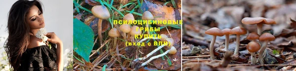 молекула духа Армянск