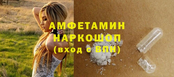 гашик Покровск