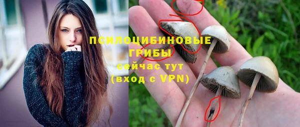 молекула духа Армянск