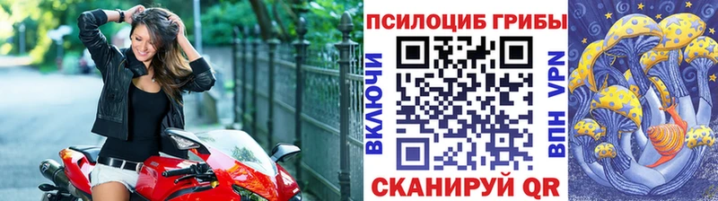 Галлюциногенные грибы прущие грибы  сколько стоит  Белокуриха 